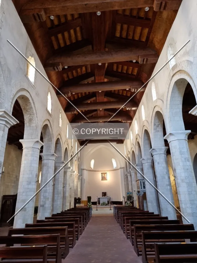 Photo 149-397-814