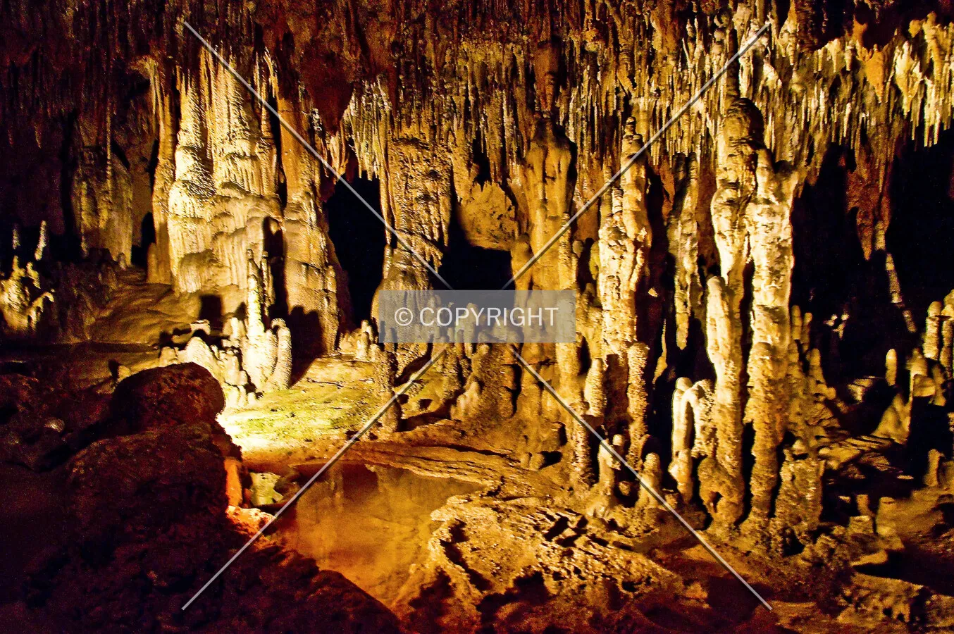Florida Caverns State Park, 3345 Caverns Rd, Marianna, Florida, U.S.A.