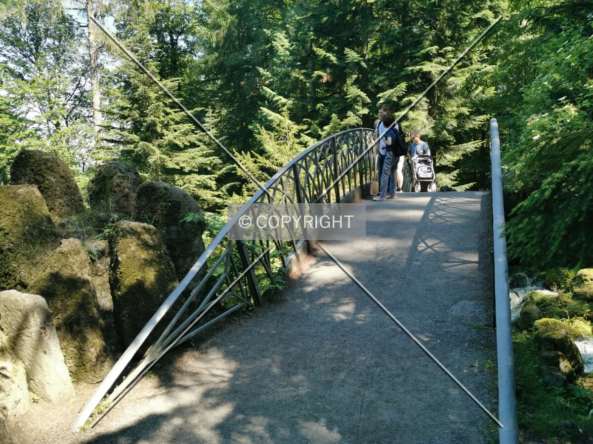 Photo 149-857-215