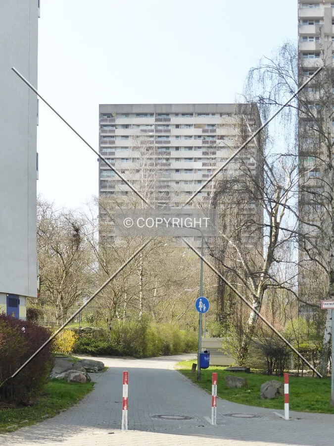 Photo 150-215-480