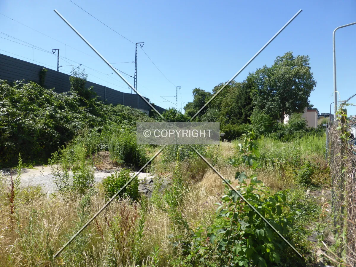 Photo 150-478-902
