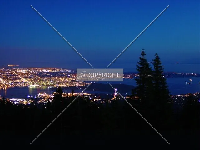 View from Grouse Mountain at night