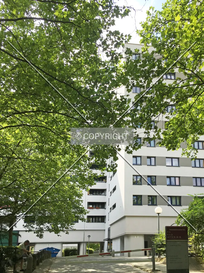 Photo 150-847-775