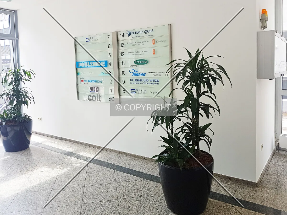 Photo 151-007-897