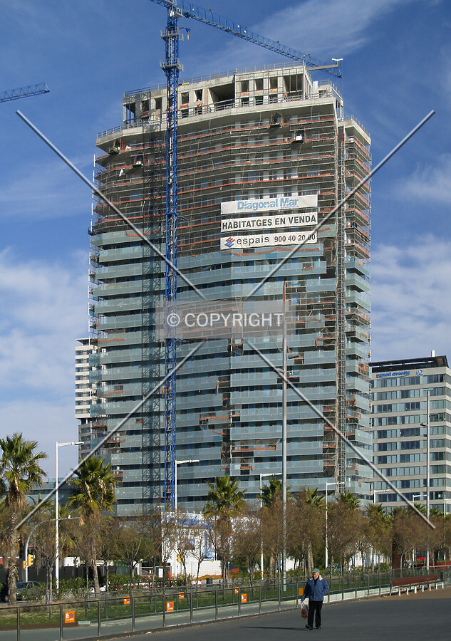 View from the south