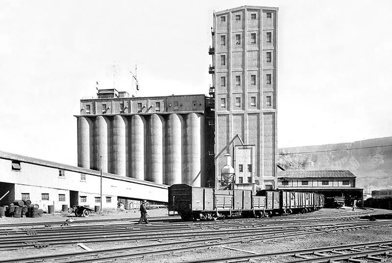 Photo 151-315-073