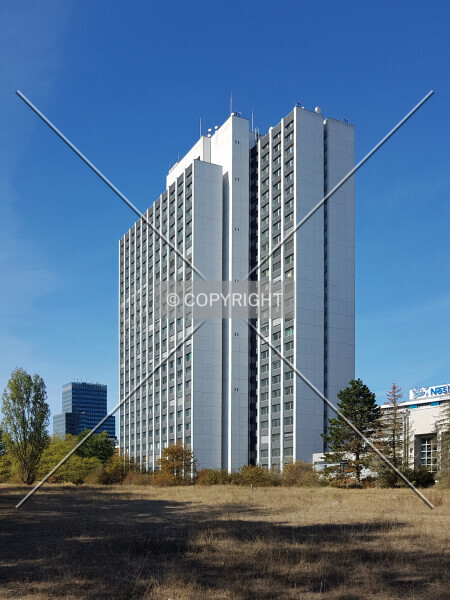 Photo 151-318-335
