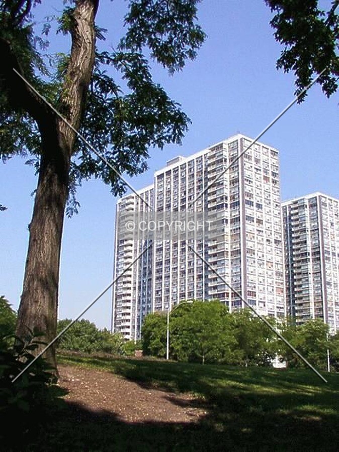 View from Lake Shore Drive embankment