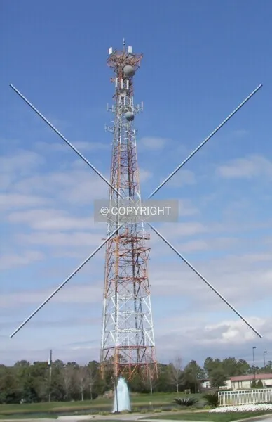 Photo 151-538-791