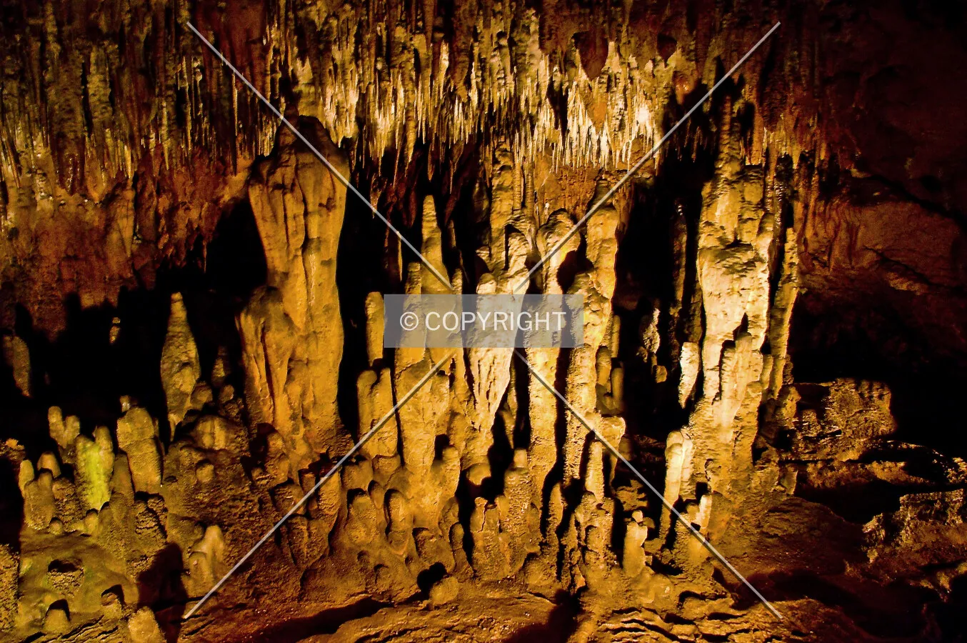 Florida Caverns State Park, 3345 Caverns Rd, Marianna, Florida, U.S.A.
