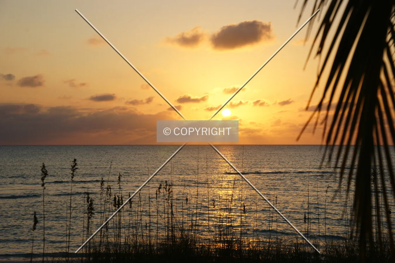 Photo 152-083-901