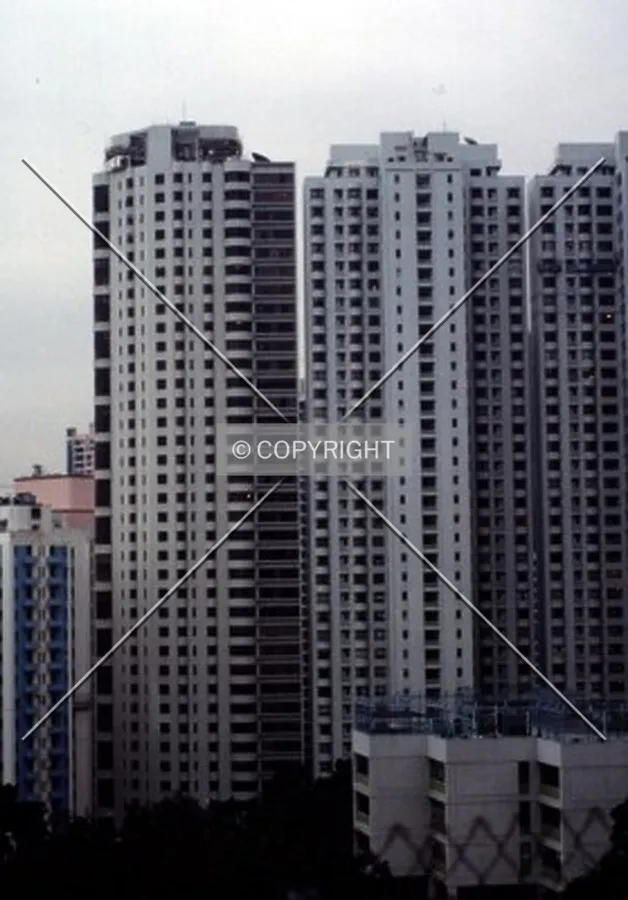 View of the rear