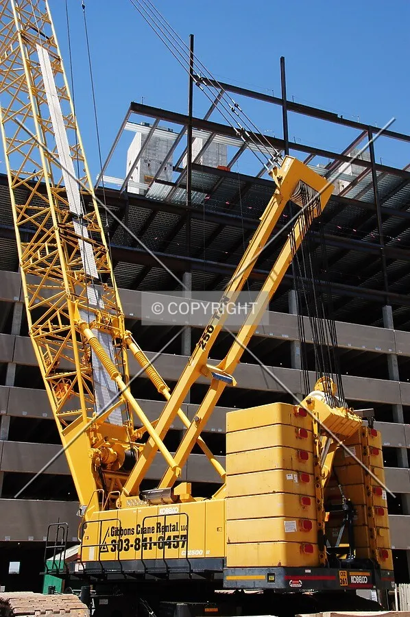 Crawler crane