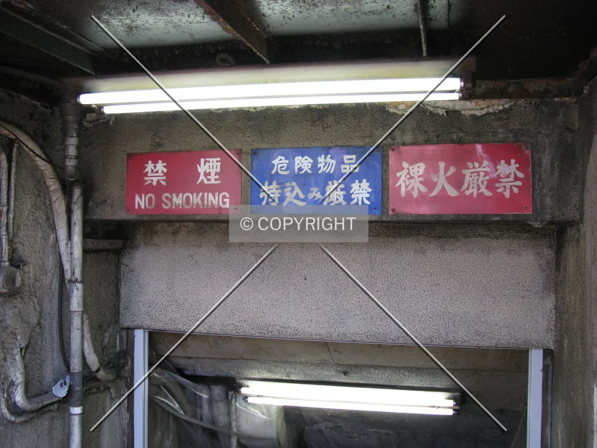 Photo 152-987-357
