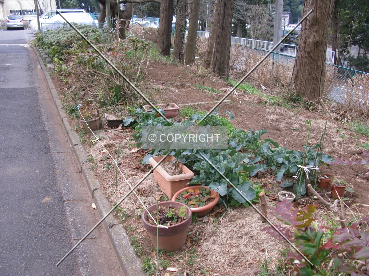 Photo 153-022-782