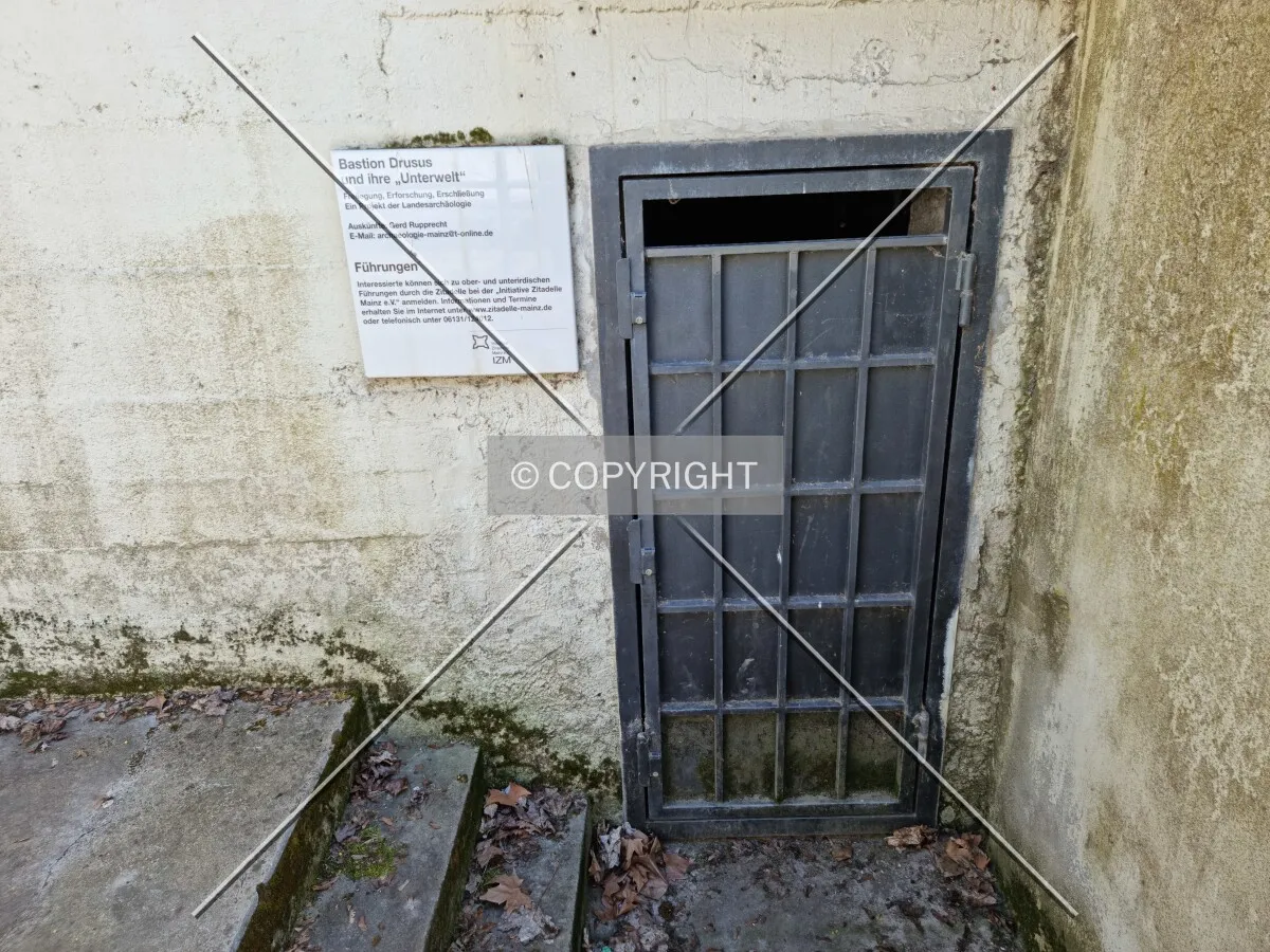 Photo 153-059-822