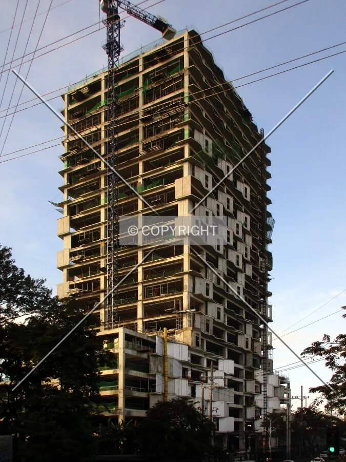 Photo 015-306-446