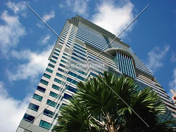 View to the top on a sunny day