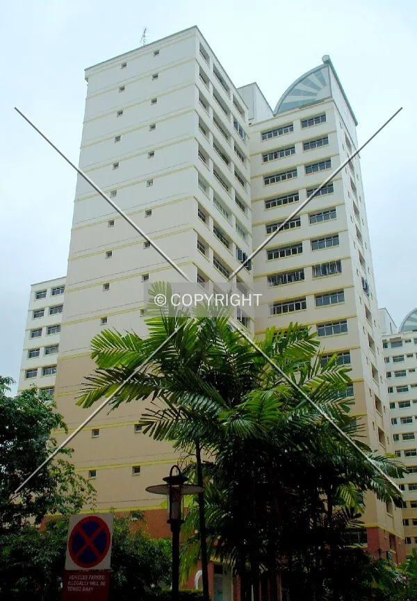 View from Block 775