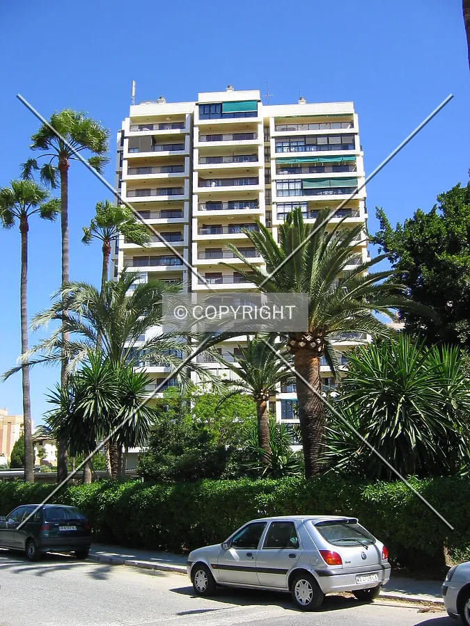 View from the south