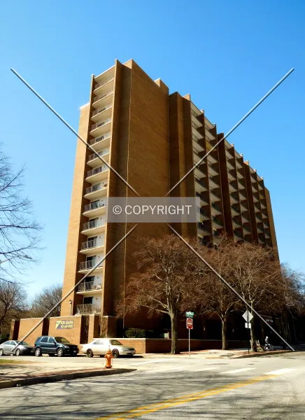 Photo 153-951-528
