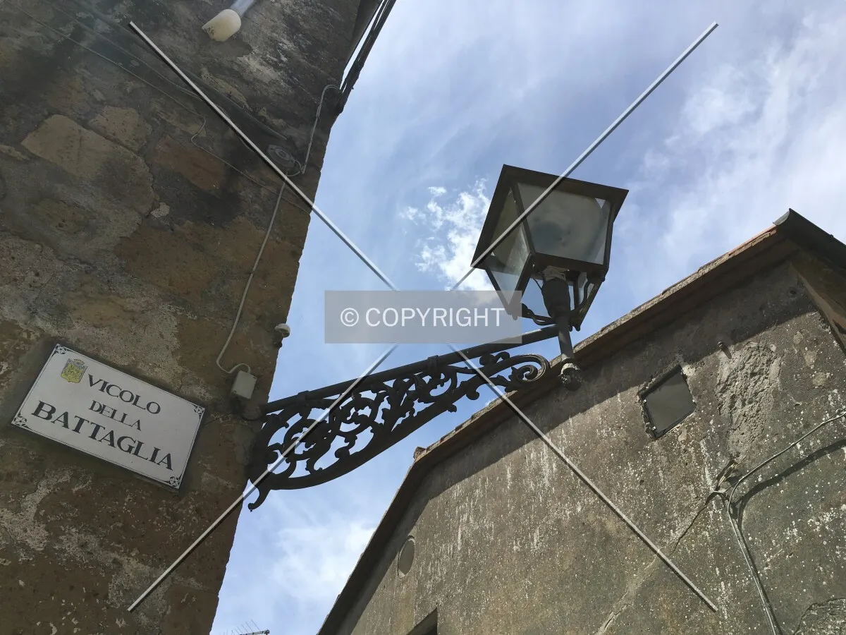 Photo 153-993-403