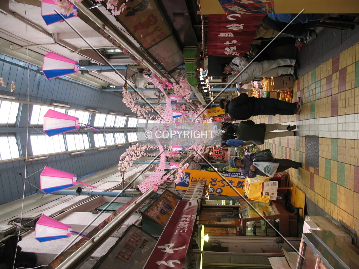 Photo 154-018-679