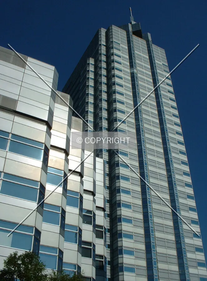Project view