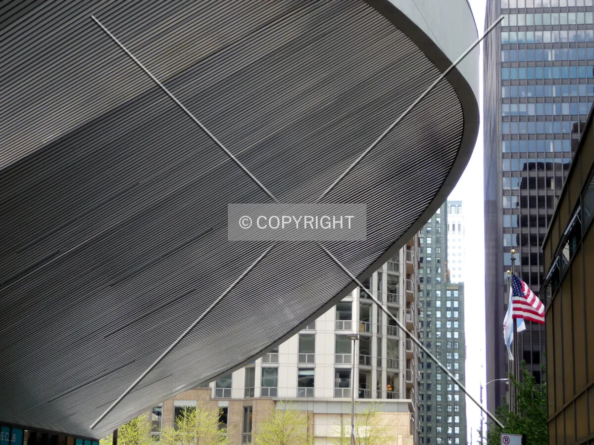 The baleen-like overhang