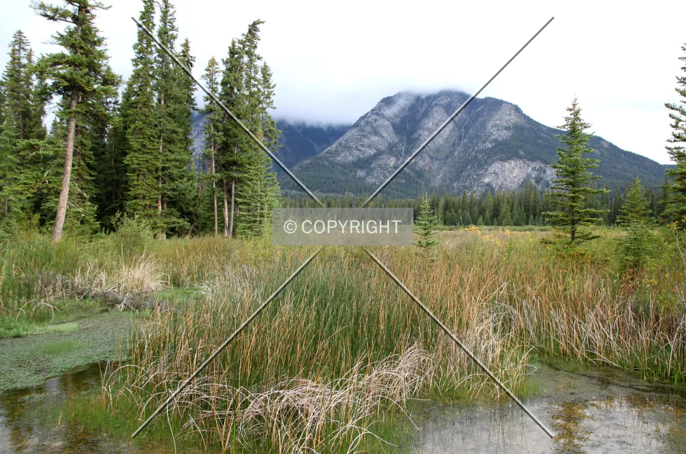 Banff National Park