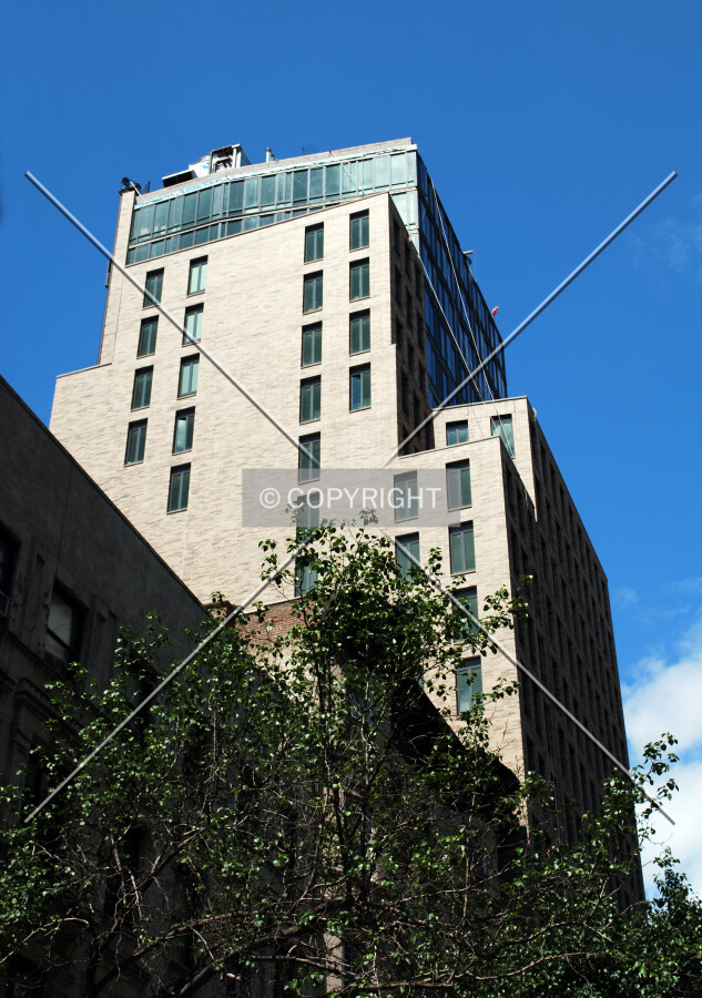 Viewed from the east