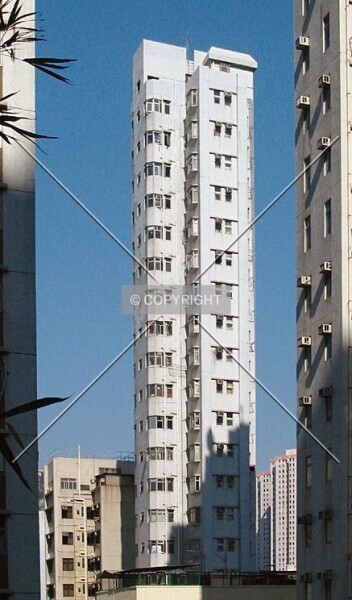 Photo 154-489-110