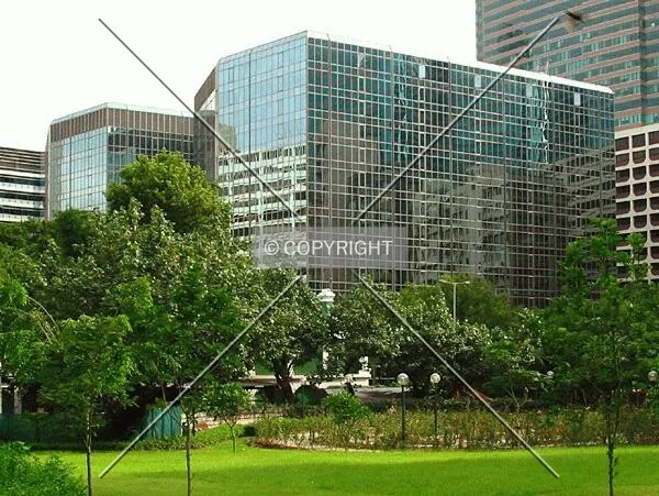 SIlvercord from Kowloon Park