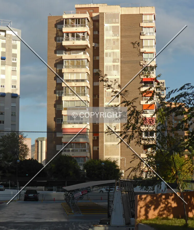 Photo 154-659-317