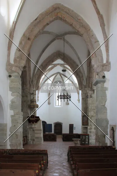 Photo 154-689-775