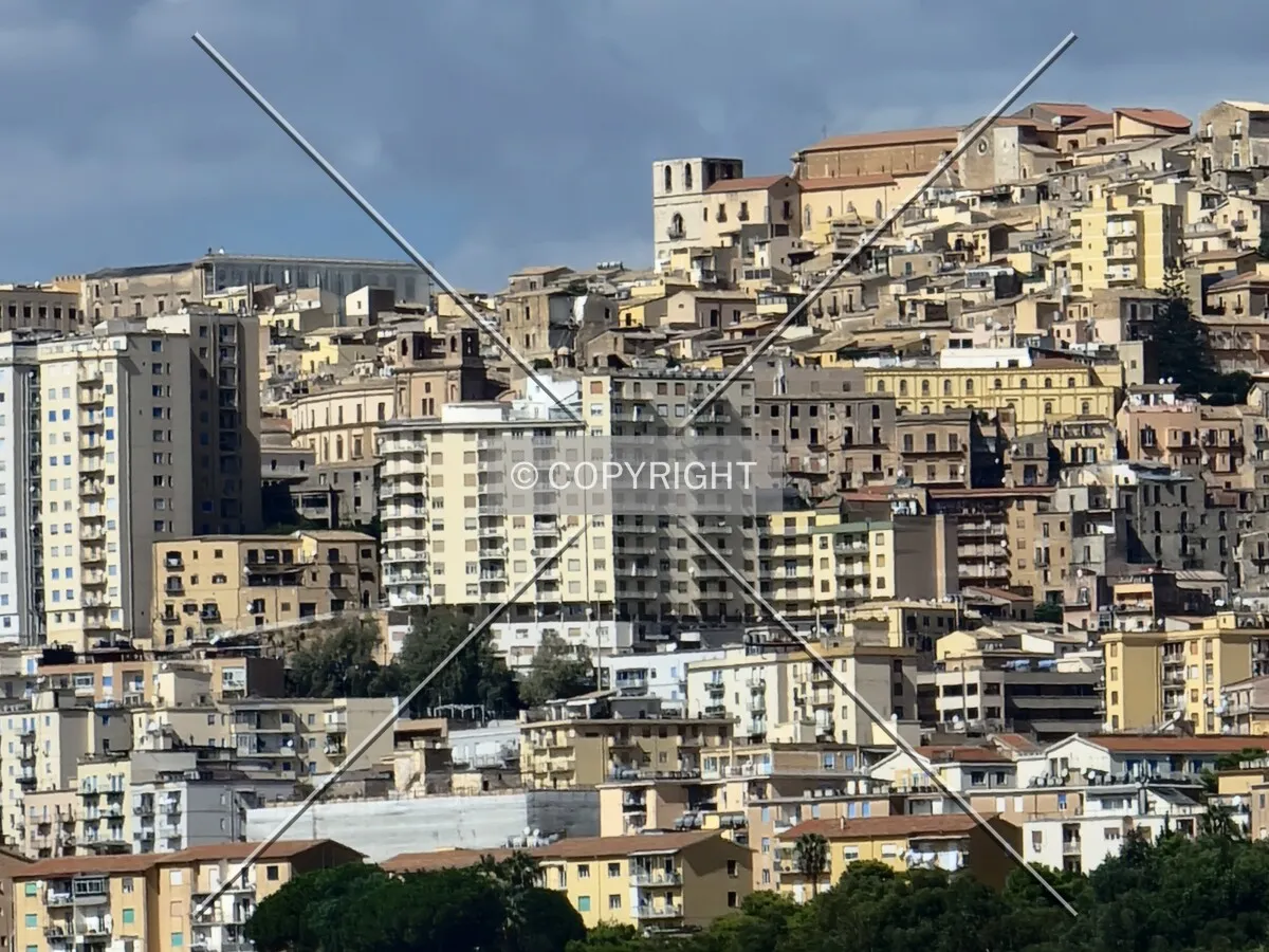 Photo 154-726-314