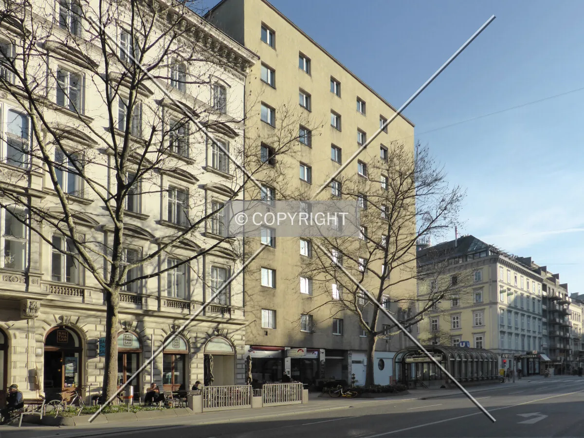 Photo 154-843-777
