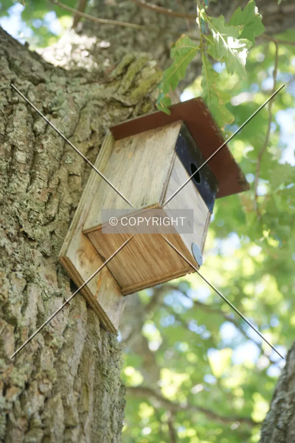A birdhouse in a tree