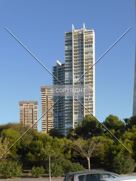 Photo 155-038-539