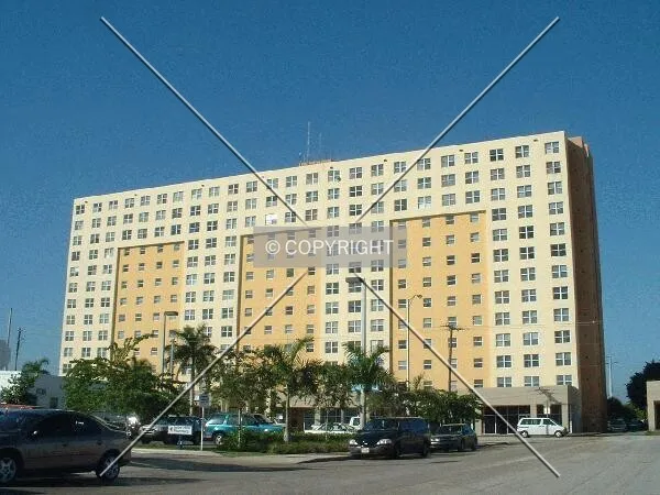View from the east