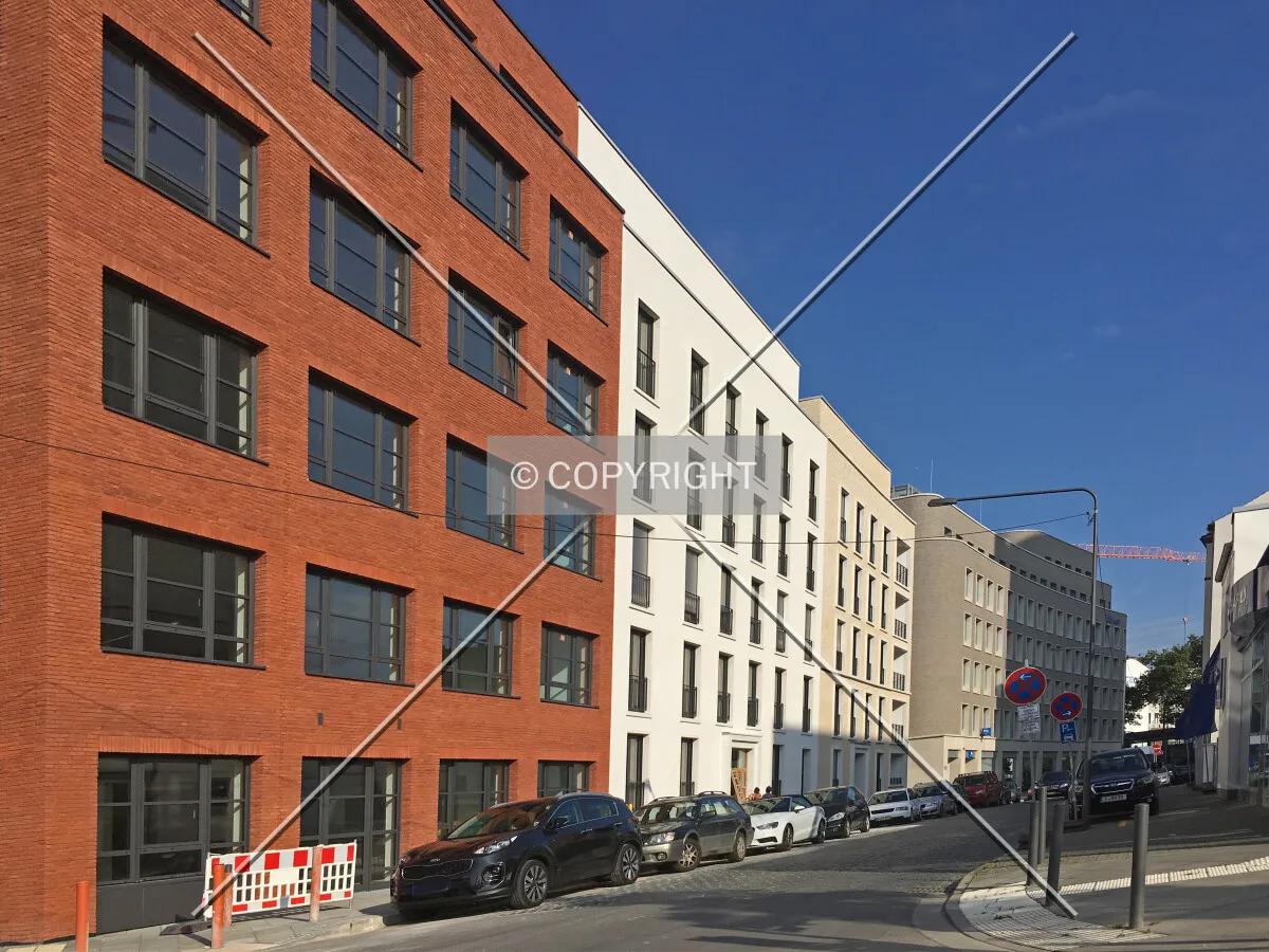 Photo 155-341-844