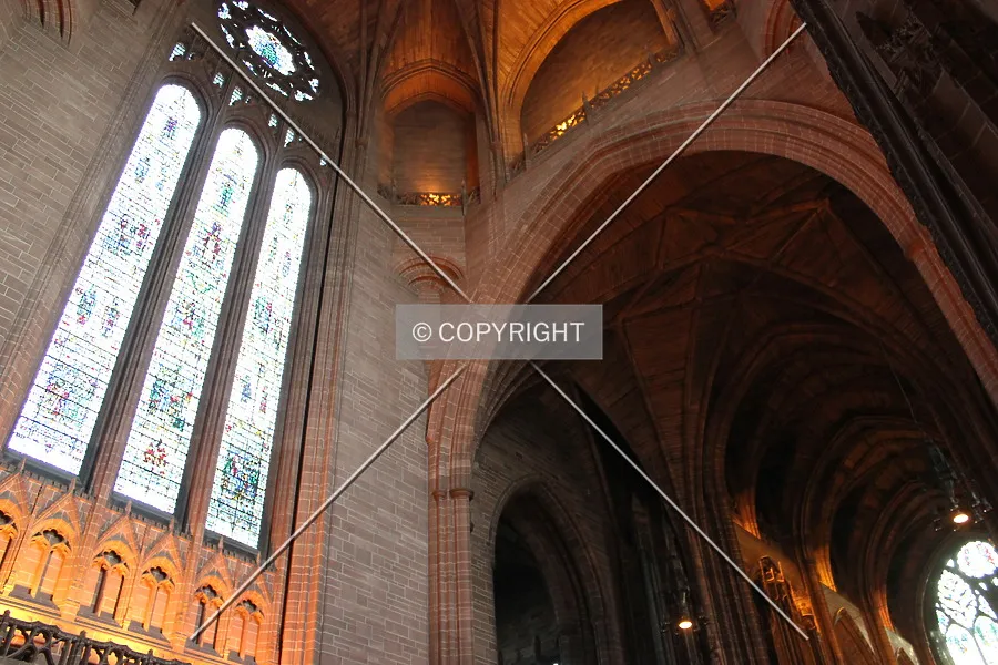 Photo 155-425-317
