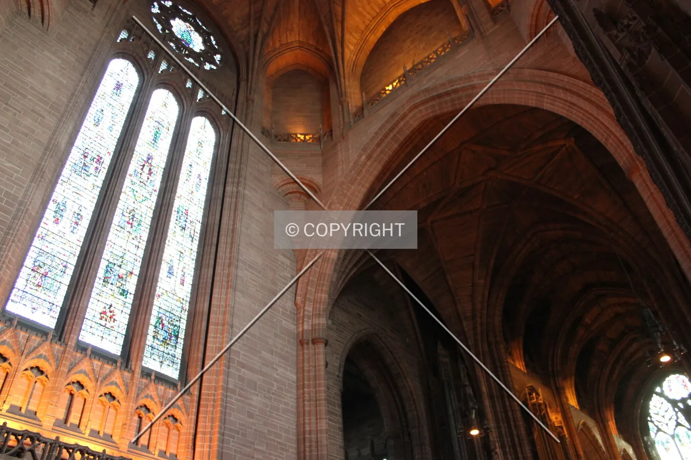 Photo 155-425-317