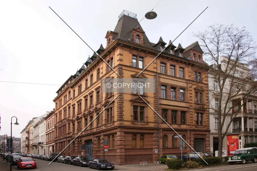 Photo 155-493-443