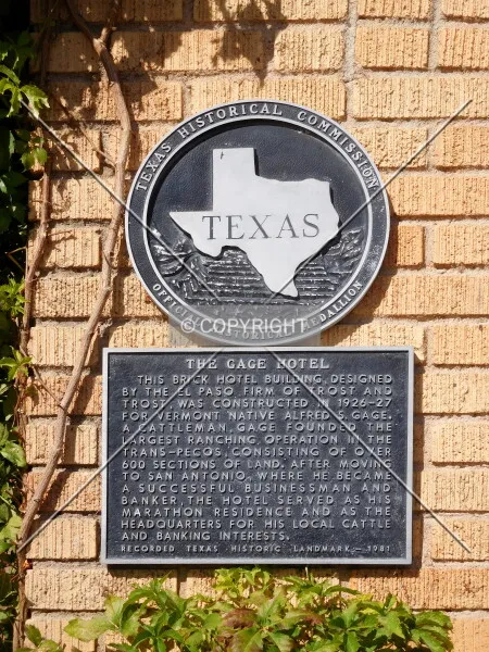 Photo 155-781-443