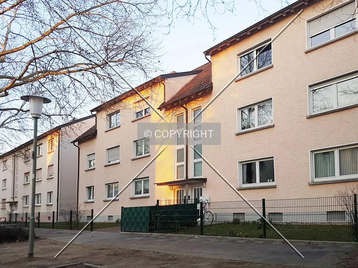 Photo 155-945-446