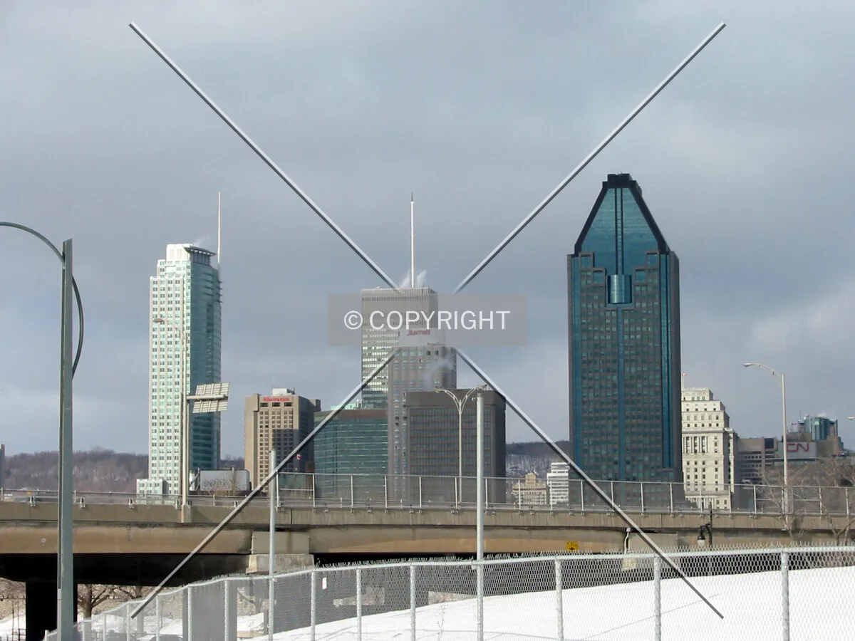 Downtown's tallest from the south