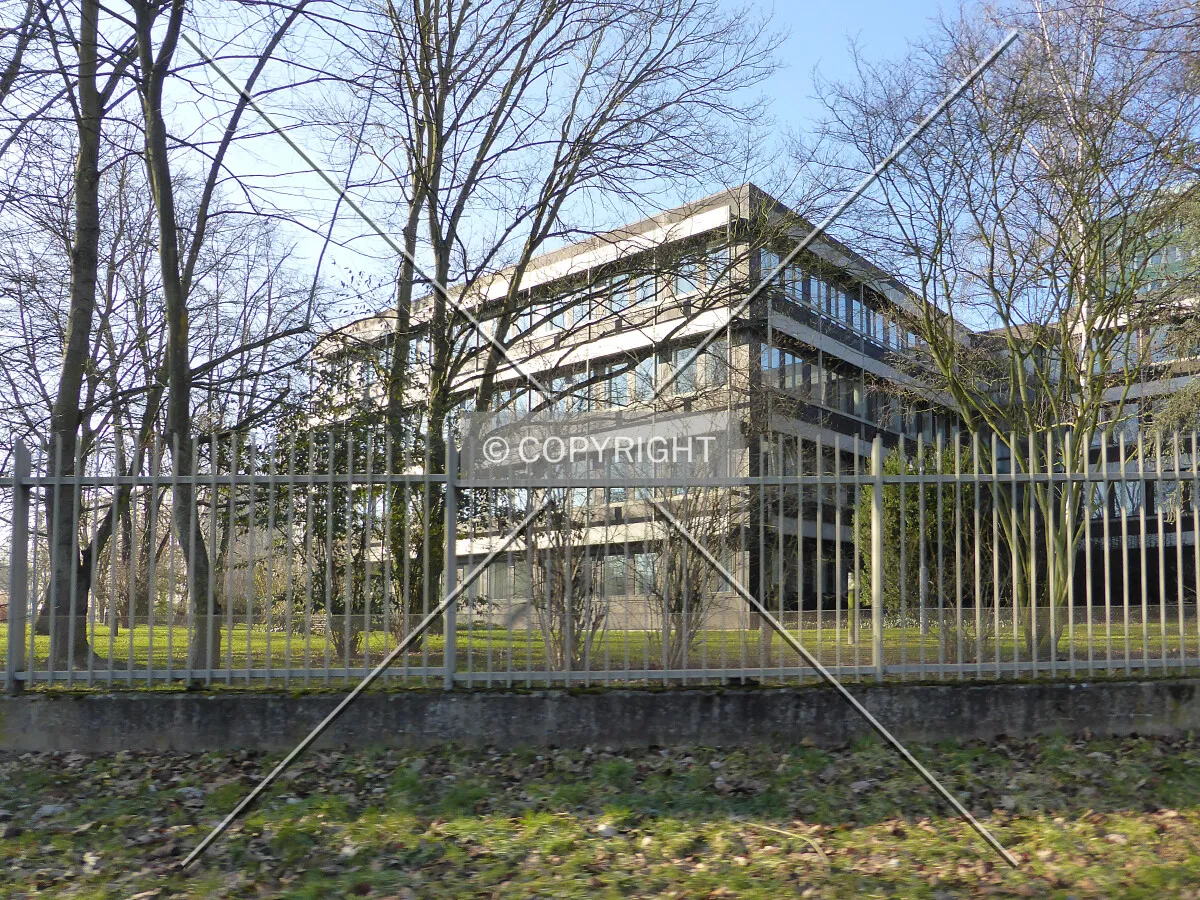 Photo 156-288-431
