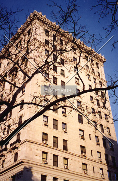 Photo 156-335-609