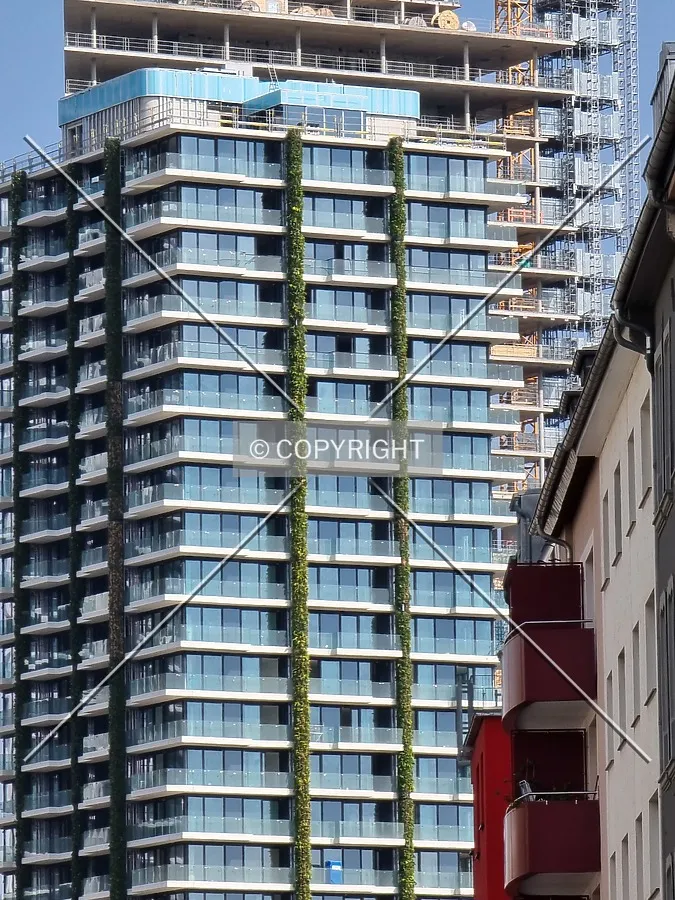 Photo 156-384-646